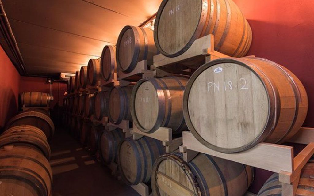 Wellness e Vino. Carmenta brinda con Marco Buvoli, Opificio del Pinot Nero - dettaglio 1